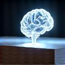 Libri e un cervello stilizzato che emette luce, simbolo di concentrazione e supporto cognitivo.
